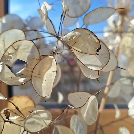 Am Auenweg Apartament *