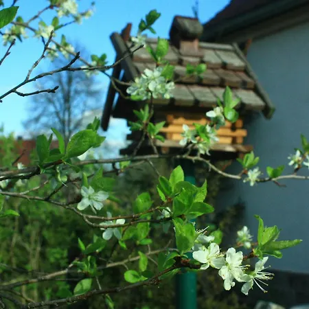 Am Auenweg Apartman