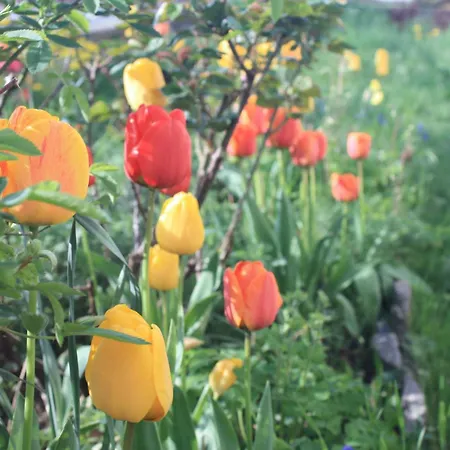 Apartament Am Auenweg Milstrich Ossling