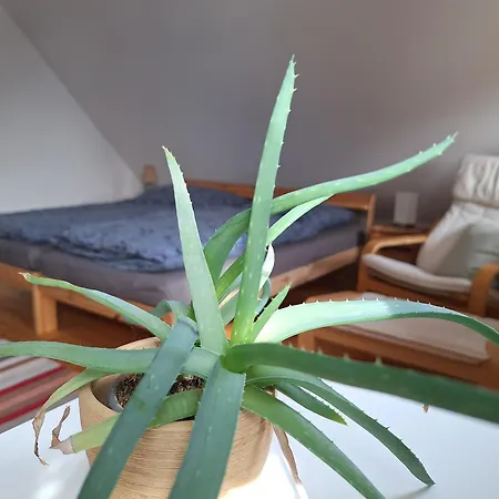 Am Auenweg Apartment Milstrich Ossling