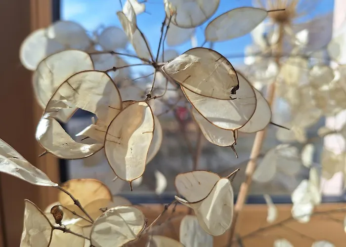 Am Auenweg Apartment *