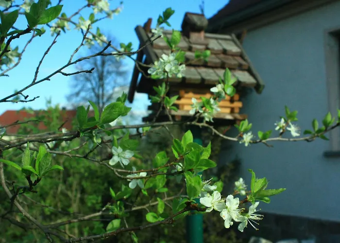 Am Auenweg Apartment