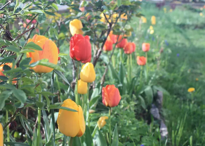 Apartment Am Auenweg Milstrich Ossling