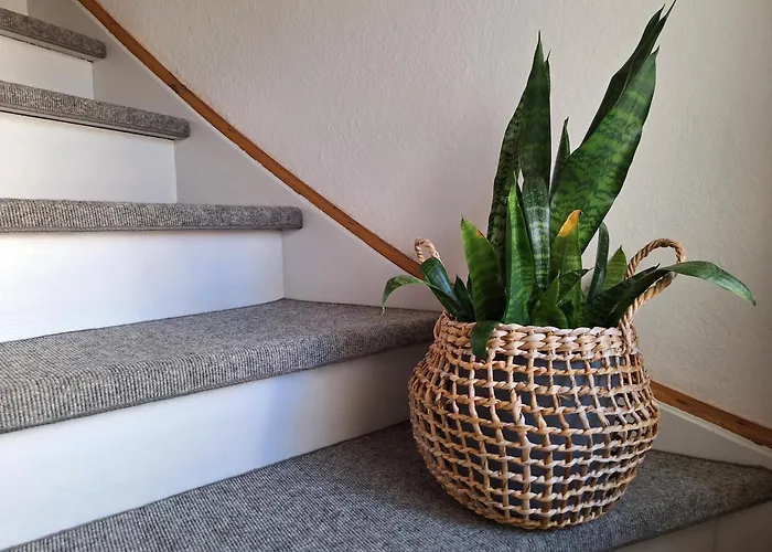 Am Auenweg Apartment *