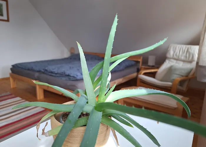 Am Auenweg Apartment Milstrich Ossling